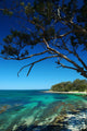 Huskisson Beach at Jervis Bay Wall Mural