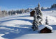 Snow10 Wall Decal