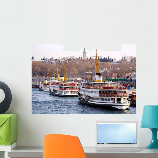 Eminonu Region with Topkapi Wall Decal