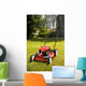 Lawn Mower Wall Mural