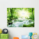 Sunshine in a forest Wall Mural
