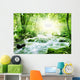 Sunshine in a forest Wall Mural