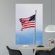 American Flag Wall Mural