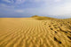Tracks Sand Wall Decal Design 2