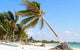 Beach Erosion Wall Decal