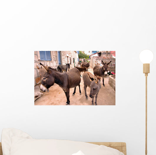Donkeys in the Streets of Vrulje Wall Mural