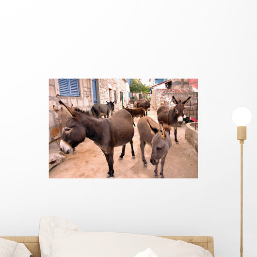 Donkeys in the Streets of Vrulje Wall Mural