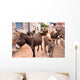 Donkeys in the Streets of Vrulje Wall Mural