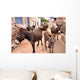 Donkeys in the Streets of Vrulje Wall Mural