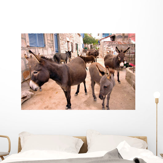 Donkeys in the Streets of Vrulje Wall Mural
