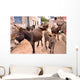 Donkeys in the Streets of Vrulje Wall Mural
