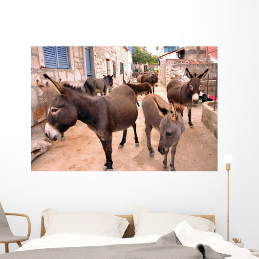 Donkeys in the Streets of Vrulje Wall Mural