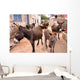 Donkeys in the Streets of Vrulje Wall Mural