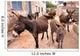 Donkeys in the Streets of Vrulje Wall Mural