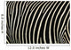 Zebra Stripes Wall Decal