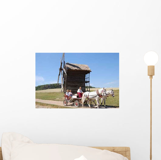 Ukraine Country Scene Pirogovo Wall Decal