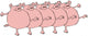 Pig Chorus Line Wall Decal