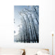 Trees Mantled with Rime Wall Mural