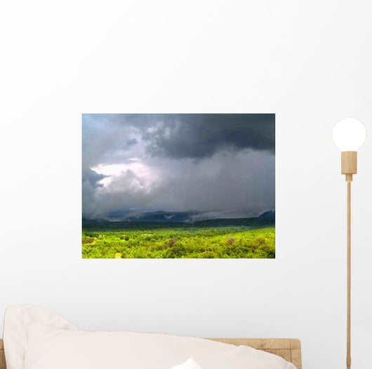 Monsoons Tonto National Forest Wall Decal