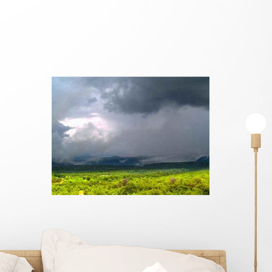 Monsoons Tonto National Forest Wall Decal