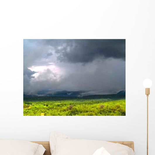 Monsoons Tonto National Forest Wall Decal
