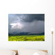 Monsoons Tonto National Forest Wall Decal