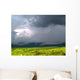 Monsoons Tonto National Forest Wall Decal