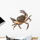 Colorful Warty Stone Crab Wall Decal