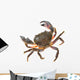 Colorful Warty Stone Crab Wall Decal