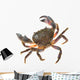 Colorful Warty Stone Crab Wall Decal