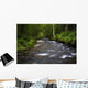 Water Wall Mural