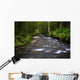 Water Wall Mural