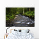 Water Wall Mural