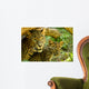 Leopards Wall Mural