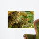 Leopards Wall Mural