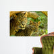 Leopards Wall Mural