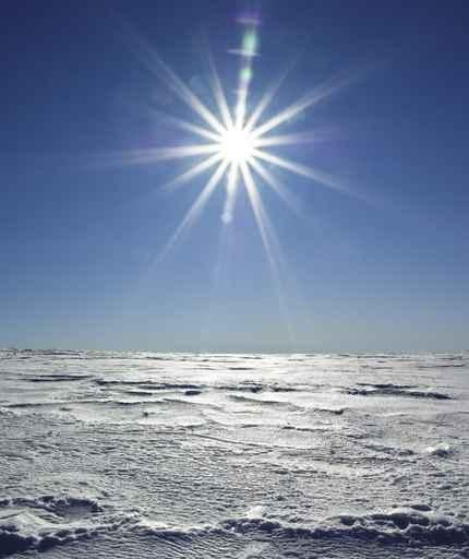 Winter Landscape Wall Decal Design 4