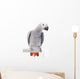 African Grey Parrot Wall Decal