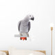 African Grey Parrot Wall Decal