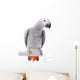 African Grey Parrot Wall Decal