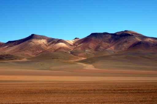 Desert Wall Decal Design 5