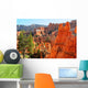 Hoodoos at Bryce Canyon Arizona Wall Mural