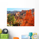 Hoodoos at Bryce Canyon Arizona Wall Mural