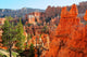 Hoodoos at Bryce Canyon Arizona Wall Mural