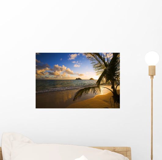 Tropical Sunrise at a Hawaii Beach Wall Mural