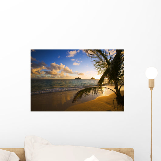 Tropical Sunrise at a Hawaii Beach Wall Mural