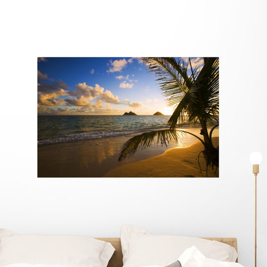 Tropical Sunrise at a Hawaii Beach Wall Mural