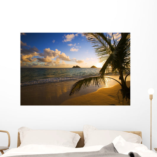 Tropical Sunrise at a Hawaii Beach Wall Mural