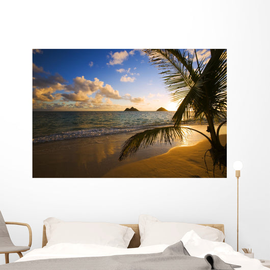 Tropical Sunrise at a Hawaii Beach Wall Mural