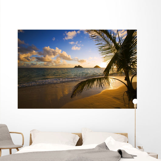 Tropical Sunrise at a Hawaii Beach Wall Mural